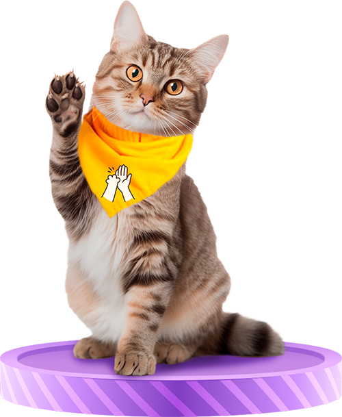 Imagen de fondo de un gato arriba de un podio