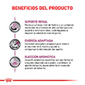 Vista 2 de Royal Canin Canine Renal