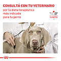 Vista 5 de Royal Canin Canine Renal