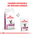 Vista 4 de Royal Canin Feline Early Renal