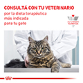 Vista 6 de Royal Canin Feline Early Renal