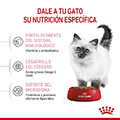 Vista 3 de Royal Canin Feline Kitten
