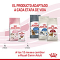 Vista 5 de Royal Canin Feline Kitten