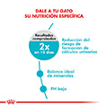 Vista 3 de Royal Canin Feline Urinary Care
