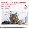 Vista 3 de Royal Canin Gatos Castrados Weight Control