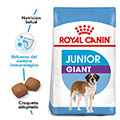 Vista 1 de Royal Canin Giant Junior
