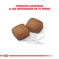 Vista 4 de Royal Canin Giant Junior
