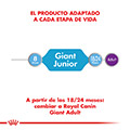Vista 5 de Royal Canin Giant Junior