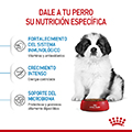 Vista 3 de Royal Canin Giant Puppy