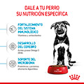 Vista 3 de Royal Canin Maxi Puppy