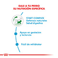 Vista 2 de Royal Canin Mini Starter