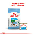 Vista 4 de Royal Canin Mini Starter