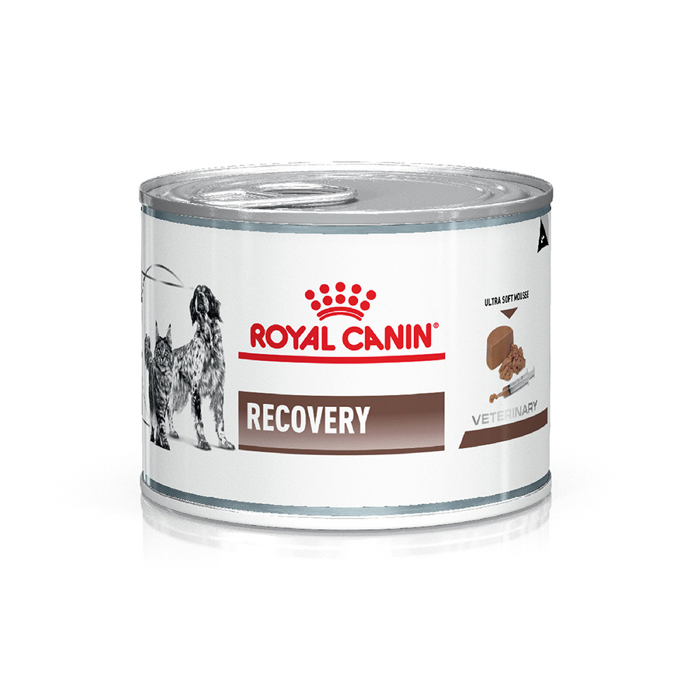 Royal Canin Recovery Lata
