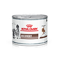 Vista 1 de Royal Canin Recovery Lata